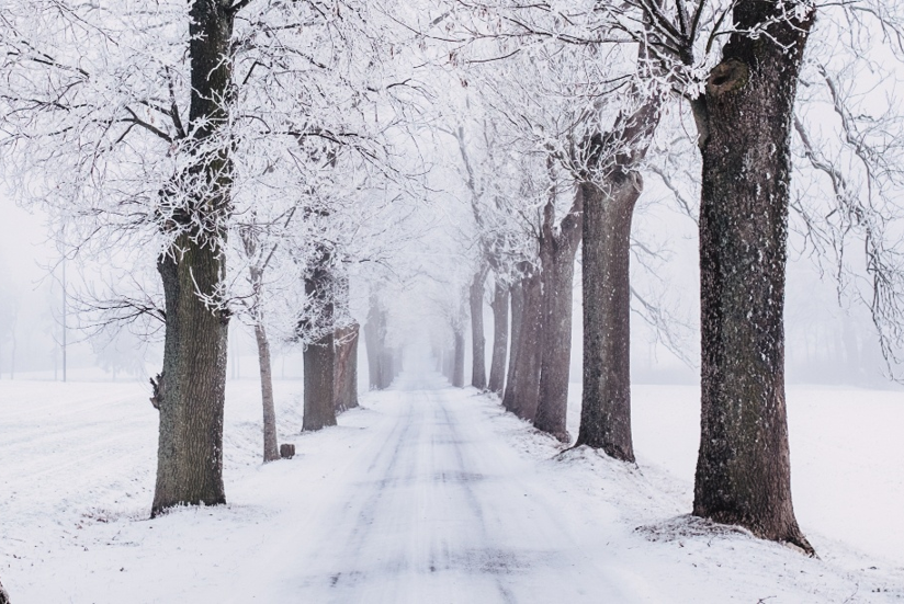 Five Tips to Keep You Running This Winter